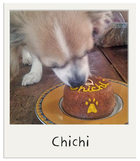 Bon anniversaire Chichi !!